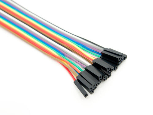 20 pin dual female splittable jumper wire - 300mm