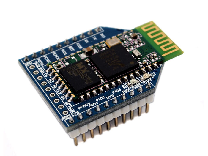 Blueseeed Bee (CSR-BC04)